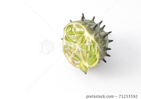 Half of prickly green squirting cucumber fruit with thorns 71233592