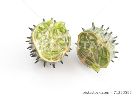 Squirting cucumber cut in half, two halves Squirting cucumber cut in half, two halves 71233593