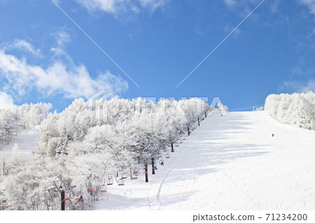 Scenery of the slopes of Sugadaira Kogen Ski Resort [Ueda City, Nagano Prefecture] 71234200