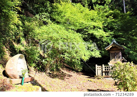 Nagaogokoku Temple Nagaogokoku Temple 71234289