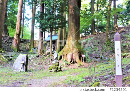 長尾古國寺 長尾古國寺 71234291