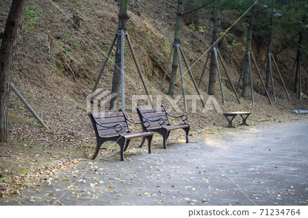 楓葉，安山市，京畿道 71234764