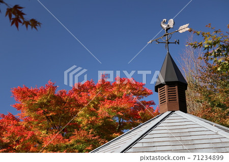 Autumn leaves, clear autumn weather and weathercock 71234899