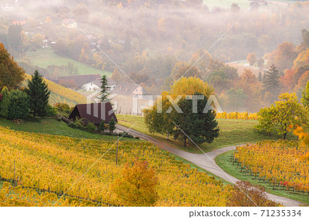Autumn View from South Styrian route in Austria at hills in Slovenia during sunraise. Autumn View from South Styrian route in Austria at hills in Slovenia during sunraise. 71235334