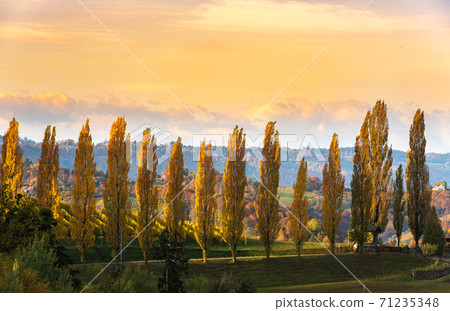 South styria vineyards landscape, Tuscany of Austria. Sunrise in autumn. 71235348