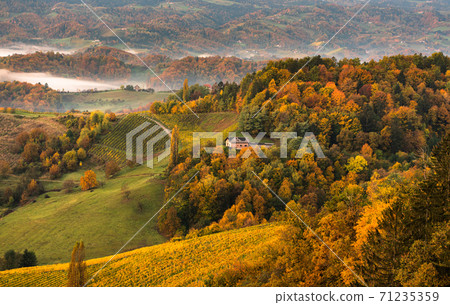 South styria vineyards landscape, Tuscany of Austria. Sunrise in autumn. 71235359