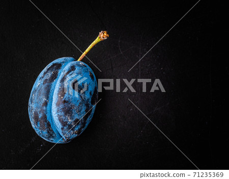 Close up of one plum fruit with copy space 71235369