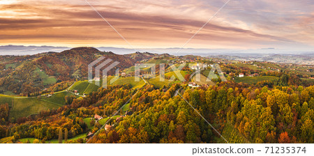 Aerial panorama of Vineyard on an Austrian countryside with a church in the background 71235374