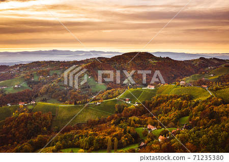 Aerial view of Vineyard on an Austrian countryside with a church in the background Aerial view of Vineyard on an Austrian countryside with a church in the background 71235380