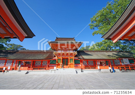 Usa Jingu in the blue sky 71235634