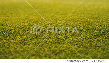 background of green grass 71235765