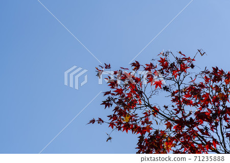 楓葉，安山市，京畿道 71235888