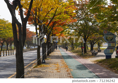 楓葉，安山市，京畿道 71236242