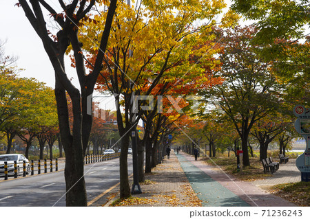 楓葉，安山市，京畿道 71236243