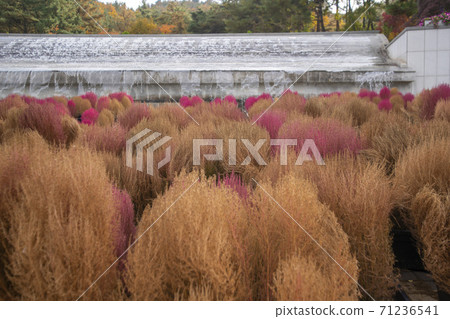 京畿道安山市Dapsari 71236541