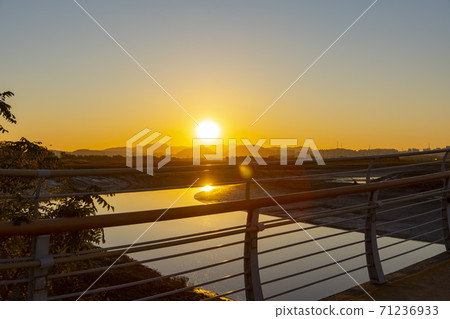 Bridge of micro-life, Siheung city, Gyeonggi-do 71236933