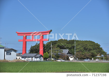 婚姻的發祥地大島神社的大鳥居 婚姻的發祥地大島神社的大鳥居 71237198