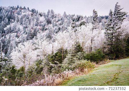 Great Smoky Mountains National Park, USA 71237332