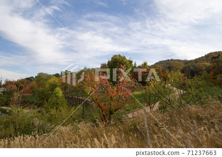 海香木植物園 海香木植物園 71237663
