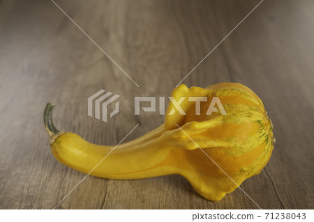 Colored beautiful pumpkin lies on a wooden background Colored beautiful pumpkin lies on a wooden background 71238043