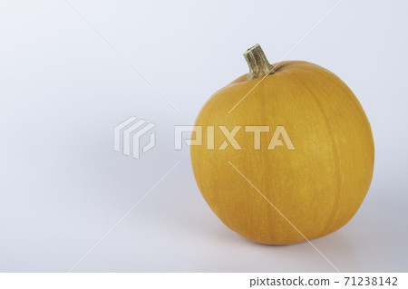 Yellow colored pumpkins on a white background 71238142