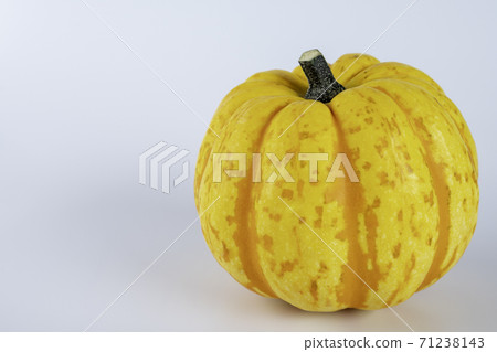 Yellow colored pumpkins on a white background Yellow colored pumpkins on a white background 71238143