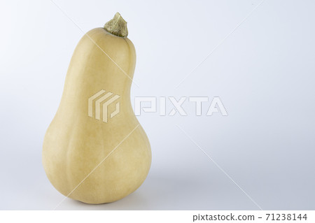 Yellow colored pumpkins on a white background Yellow colored pumpkins on a white background 71238144
