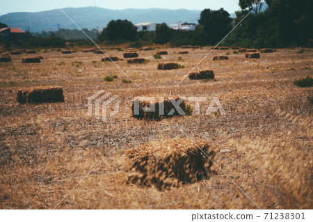 Haystacks on field near the village Haystacks on field near the village 71238301
