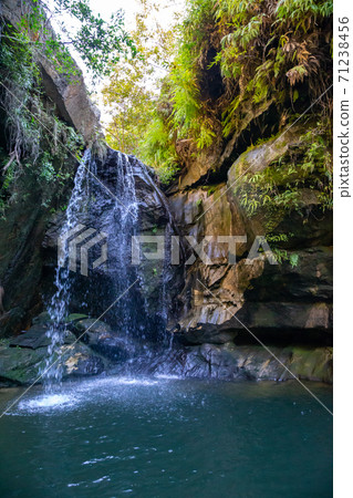 A lake with a small waterfall surrounded by many plants A lake with a small waterfall surrounded by many plants 71238456