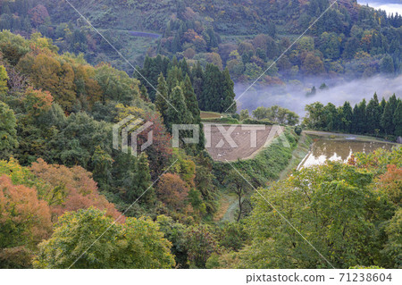 松代芝山口的雲海 松代芝山口的雲海 71238604