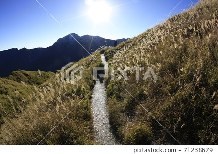 台灣登山 奇萊山 71238679