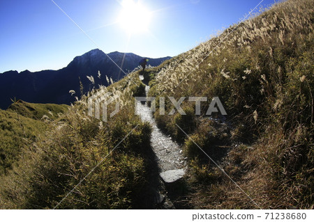 台灣登山 奇萊山 71238680