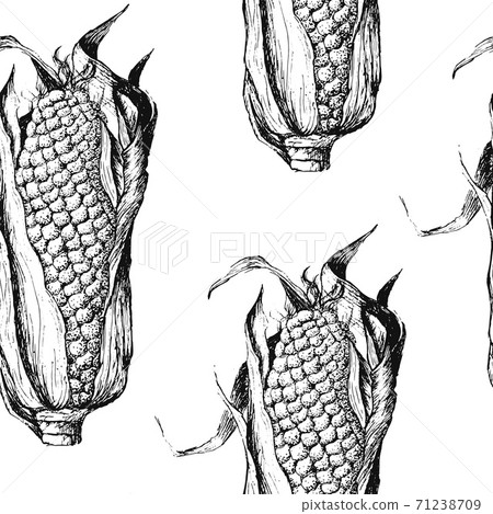 Seamless pattern with sweet corn background 71238709