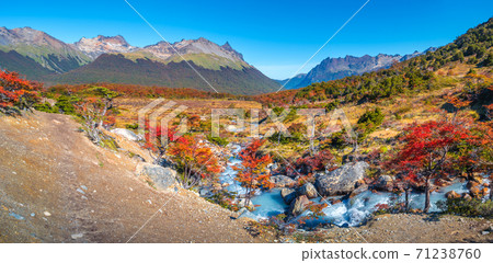 Panoramic view over magical austral forest, peatbogs dead trees, glacial streams and high mountains in Tierra del Fuego National Park, Patagonia, Argentina Panoramic view over magical austral forest, peatbogs dead trees, glacial streams and high mountains in Tierra del Fuego National Park, Patagonia, Argentina 71238760