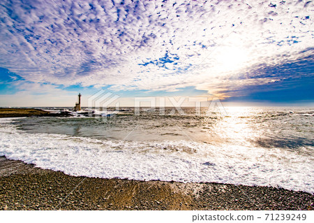 茨城縣大井町海中的秋色下的等oh燈籠 71239249