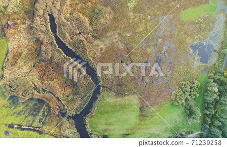 Aerial wiev of natural river Aerial wiev of natural river 71239258