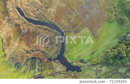 Aerial wiev of natural river Aerial wiev of natural river 71239263