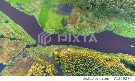 Aerial wiev of natural river Aerial wiev of natural river 71239274