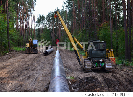 Natural gas pipeline construction work. A dug trench in the ground for the installation 71239364