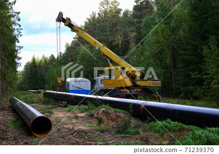 Crane lowers a section of pipe into a trench.  71239370