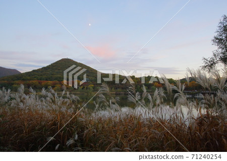 Scenery 71240254