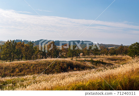 Scenery of Oshito stone hill in the clear autumn sky Scenery of Oshito stone hill in the clear autumn sky 71240311