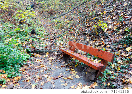 An old wooden bench stands on a hillside in an autumn forest. 71241326