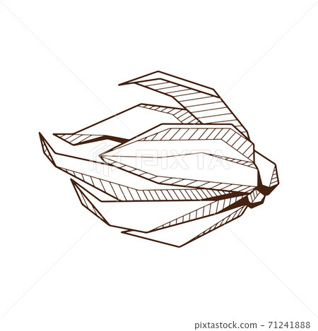 Hand drawind geometrical flower bud, Ylang-Ilang bud line art Hand drawind geometrical flower bud, Ylang-Ilang bud line art 71241888