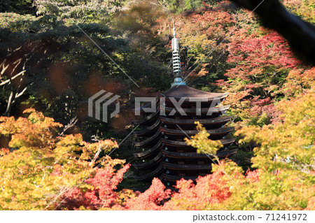 奈良縣櫻井市，奈良縣秋天的丹山神社的秋天景色[11月] 71241972