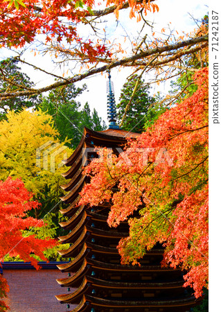 奈良縣櫻井市，奈良縣秋天的丹山神社的秋天景色[11月] 71242187