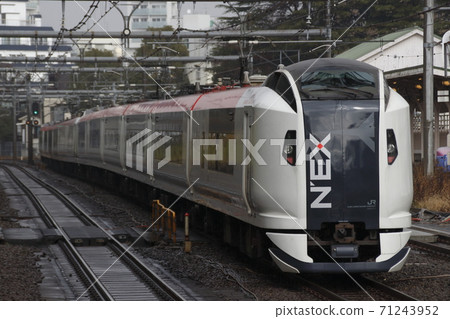 Limited Express Narita Express: E259 series train 71243952