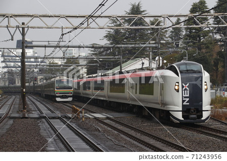 成田特急：E259系列火車 71243956