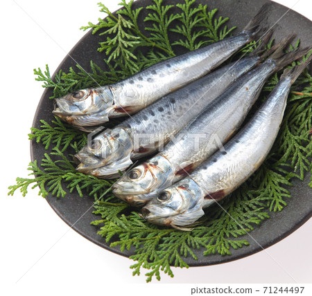 Sardine full round dried Sardine full round dried 71244497