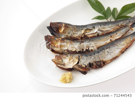 Grilled sardines Grilled sardines 71244543